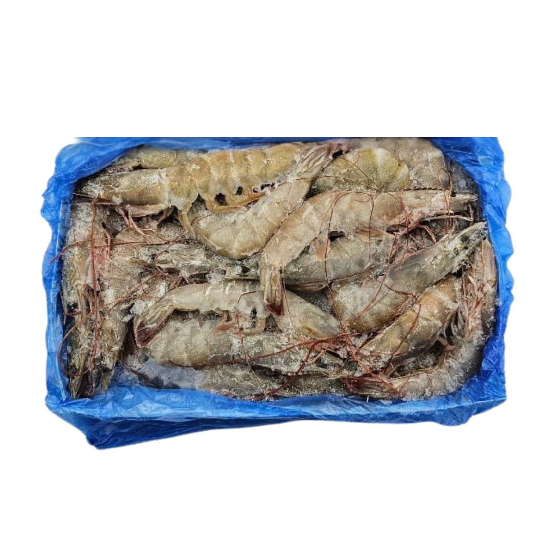 生凍白蝦#5（50/60）